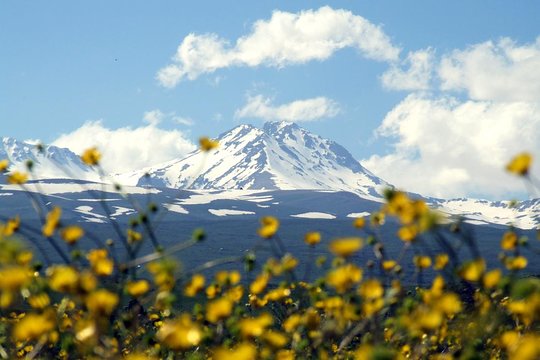 Tour image 1
