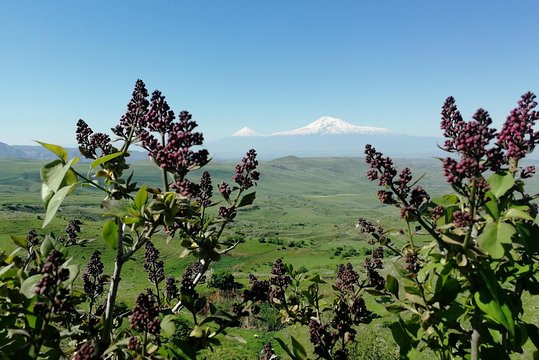 Tour image 6