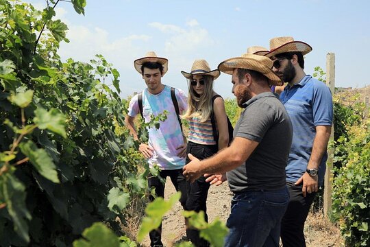 Tour image 11